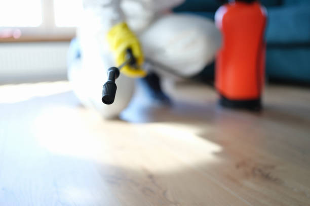 Best Asbestos and Lead Testing During Mold Inspection  in Webster City, IA